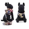 Little Bear Pet Leash/Harness - Medium