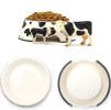 New Fashion Pet Bowl Stainless Steel, Zebra Stripes