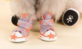 Fashion Pets Canvas Shoes Star Pattern