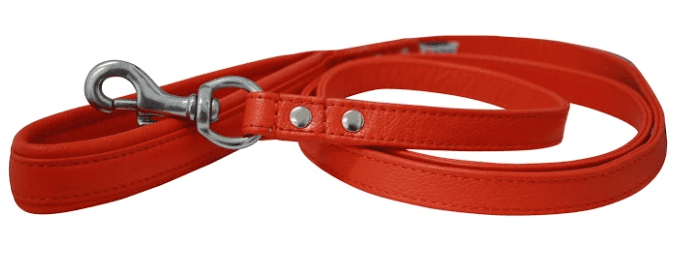 Leather Padded Handle Leash (Alpine) by Angel 72" X 3/4" (Color: Goldfish Orange)