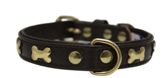 Rotterdam Bones Dog Collar by Angel 14" X 3/4" (Color: Chocolate Brown)