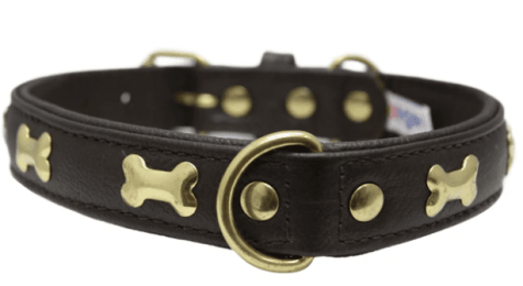 Rotterdam Bones Dog Collar by Angel 22" X 1" (Color: Chocolate Brown)