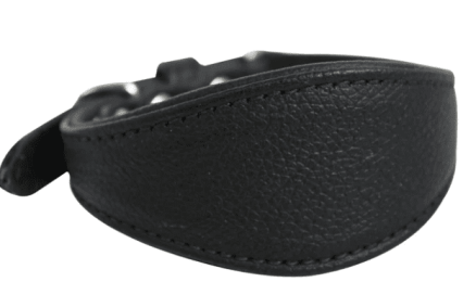 Hound Plain Collar by Angel, Midnight Black (Size: 14" X 1.75")