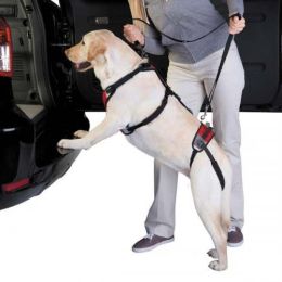 Total Pet Health Lift & Go Lead - Red (Size: Large)