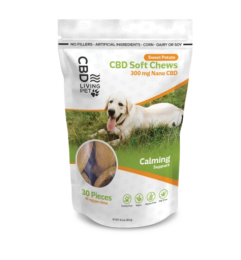 CBD Soft Chews Sweet Potato Immunity Support CBD (Strength: 300 mg)