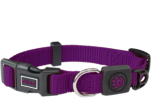 Doco Signature Nylon Collar-Purple (Color: Purple, Size: 3/8 x 8-12in)