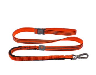 Doco Vario Easy Snap Bungee Leash - 6Ft-Safety Orange (Color: Safety Orange, Size: 5/8 x 6ft)