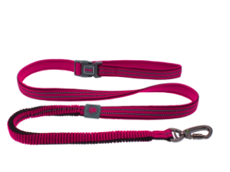 Doco Vario Easy Snap Bungee Leash - 6Ft-Raspberry Pink (Color: Raspberry Pink, Size: 5/8 x 6ft)