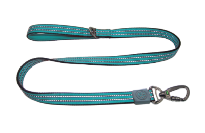 Doco Vario Leash With Reflective Thread 4Ft-Turquoise (Color: Turquoise, Size: 5/8 x 4ft)