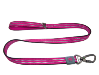 Doco Vario Leash With Reflective Thread 4Ft-Raspberry Pink (Color: Raspberry Pink, Size: 5/8 x 4ft)