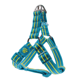 Doco Solar Step In Harness-Turquoise (Color: Turquoise, Size: 1 x 20-28'')