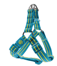 Doco Solar Step In Harness-Turquoise (Color: Turquoise, Size: 1 x 20-28'')