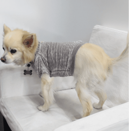 Doggy Tee-Coco (Size: Large)