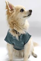 Doggy Tee-Hunter (Size: Large)