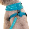 Small Dog Harness with Leash