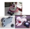 Fashionable Bone Stand Stainless Steel Dog Dishes